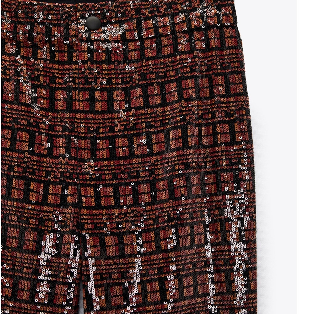 Zara sequin pants!